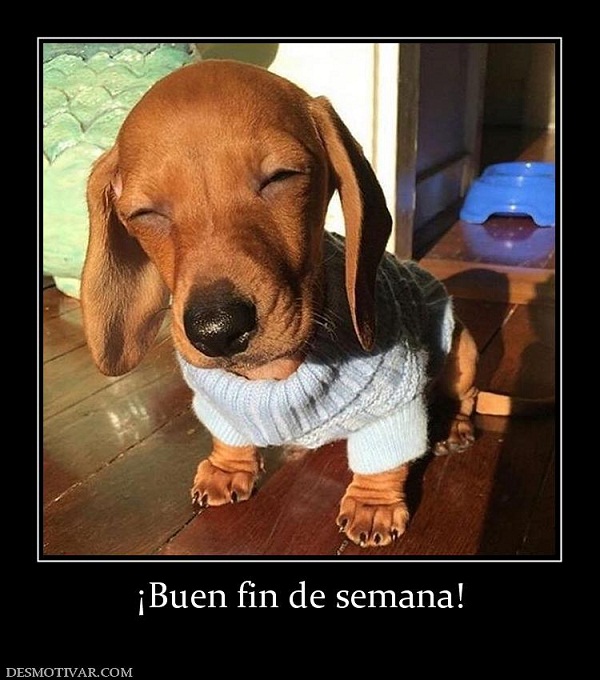 Im%C%Agenes-graciosas-buen-fin-de-semana-